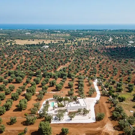 Nido Maremonte